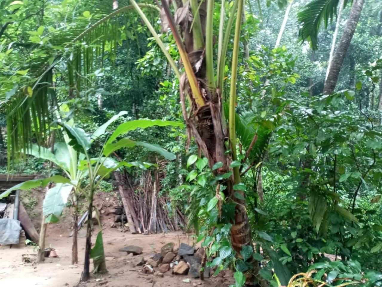 Relax Home Rambukkana Bagian luar foto