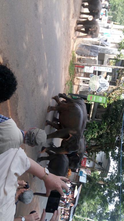 Relax Home Rambukkana Bagian luar foto