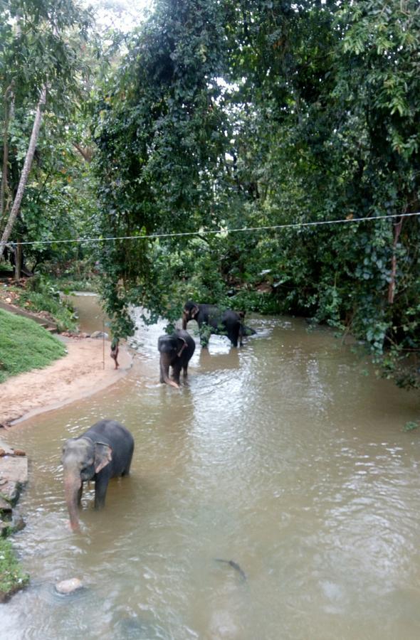 Relax Home Rambukkana Bagian luar foto